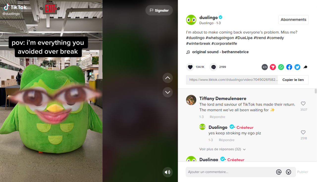 Les Succès Tiktok De Duolingo Ryanair Et Scrub Daddy Décryptés Digital Insighters 