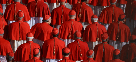 Cardinaux 3